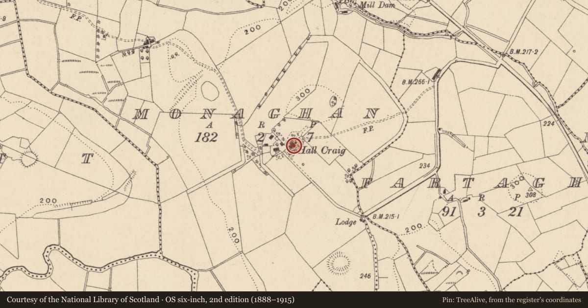 Ordnance Survey six-inch map, 2nd edition (1888–1915) covering the location of Hall Craig, Fermanagh and Omagh, with a pin at the register's coordinates