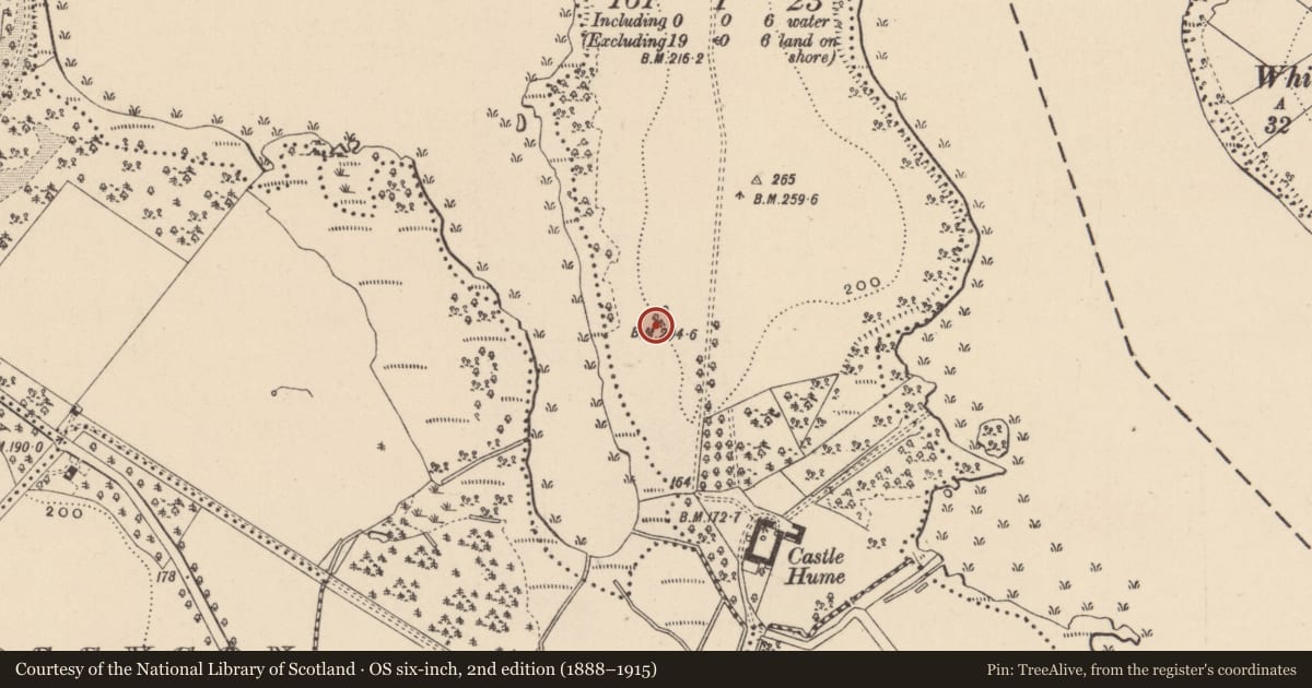 Ordnance Survey six-inch map, 2nd edition (1888–1915) covering the location of Dove Cote, Fermanagh and Omagh, with a pin at the register's coordinates