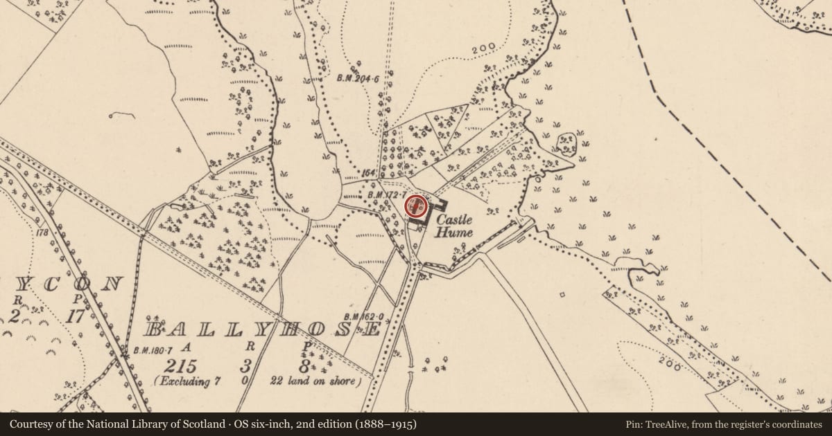 Ordnance Survey six-inch map, 2nd edition (1888–1915) covering the location of Stable Block, Fermanagh and Omagh, with a pin at the register's coordinates