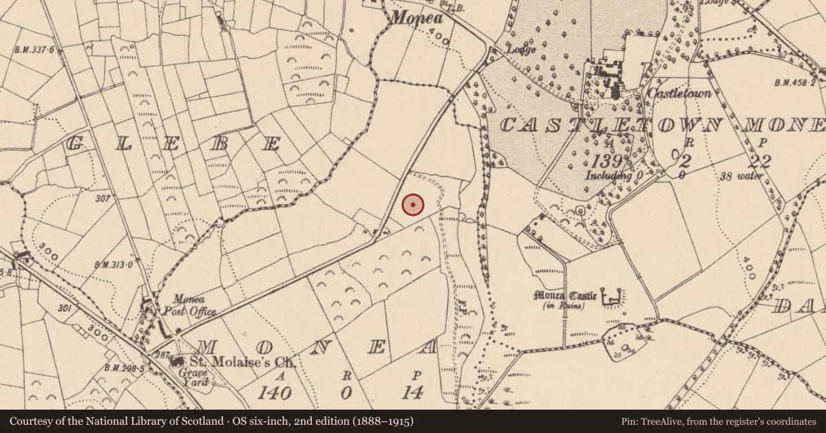 Ordnance Survey six-inch map, 2nd edition (1888–1915) covering the location of Rc Church Of The Immaculate Conception, Fermanagh and Omagh, with a pin at the register's coordinates