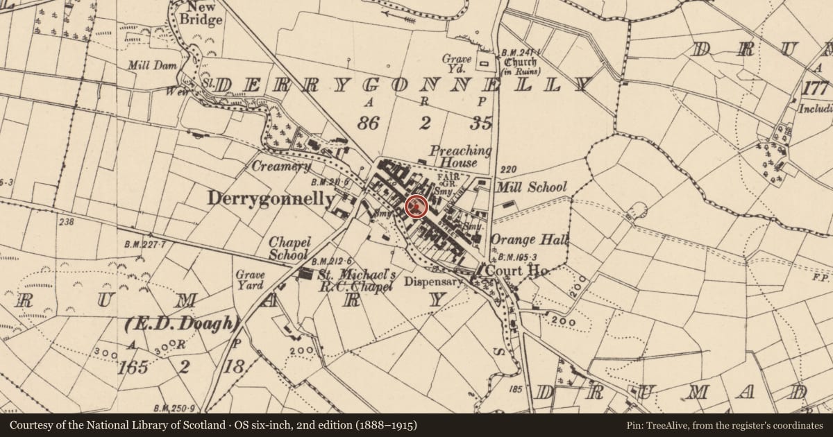 Ordnance Survey six-inch map, 2nd edition (1888–1915) covering the location of 46 & 48 Main St., Fermanagh and Omagh, with a pin at the register's coordinates