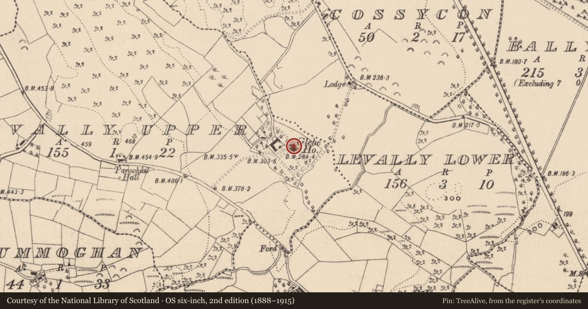 Ordnance Survey six-inch map, 2nd edition (1888–1915) covering the location of Levally House, Fermanagh and Omagh, with a pin at the register's coordinates