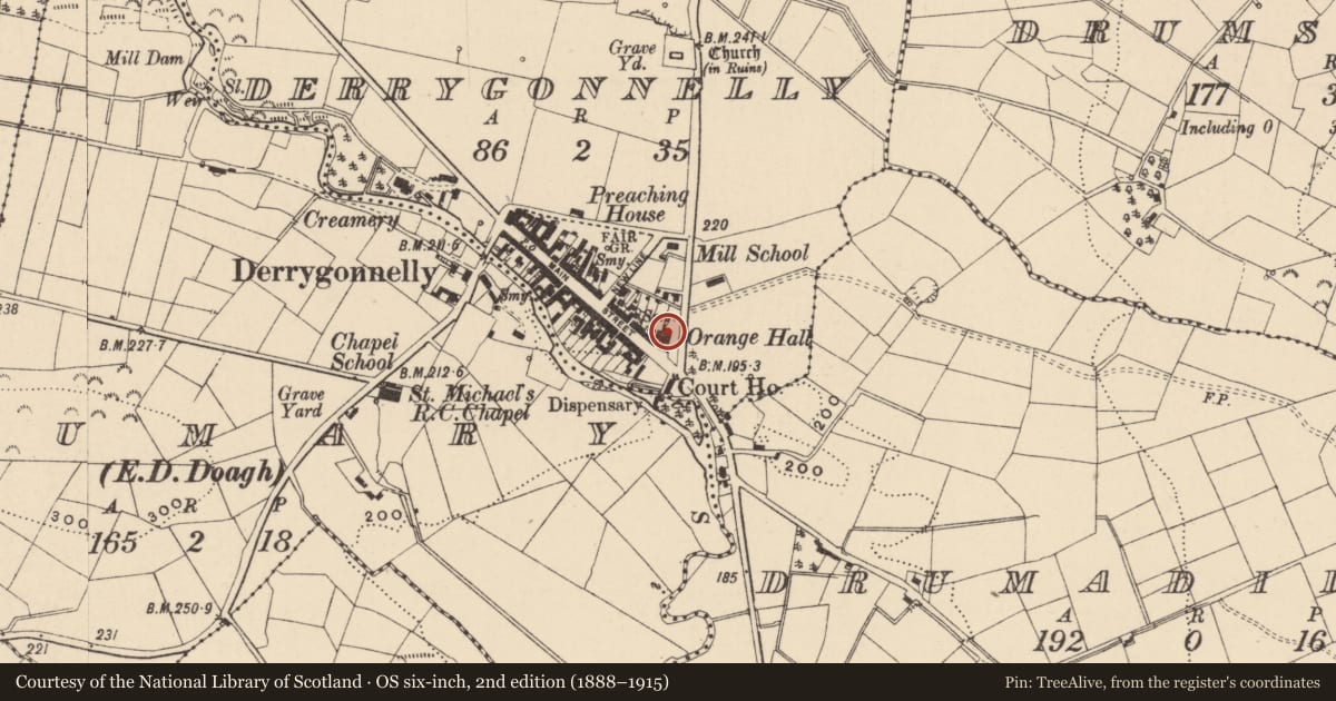 Ordnance Survey six-inch map, 2nd edition (1888–1915) covering the location of Orange Hall, Fermanagh and Omagh, with a pin at the register's coordinates