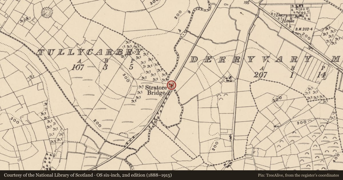 Ordnance Survey six-inch map, 2nd edition (1888–1915) covering the location of Stratore Bridge Derryvarymore/Tullycarbry Tls, Fermanagh and Omagh, with a pin at the register's coordinates