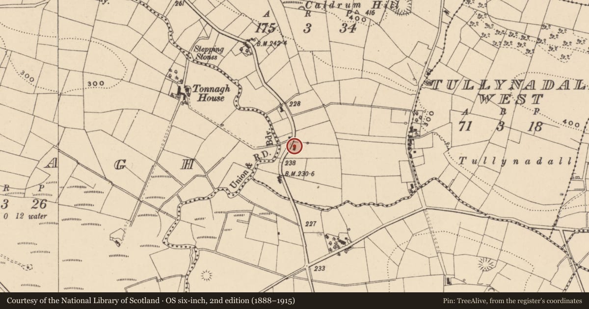 Ordnance Survey six-inch map, 2nd edition (1888–1915) covering the location of DWELLING, Fermanagh and Omagh, with a pin at the register's coordinates