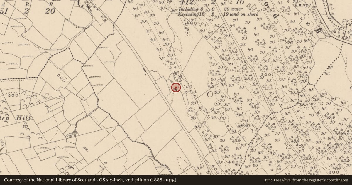 Ordnance Survey six-inch map, 2nd edition (1888–1915) covering the location of DWELLING, Fermanagh and Omagh, with a pin at the register's coordinates