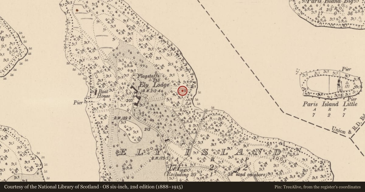 Ordnance Survey six-inch map, 2nd edition (1888–1915) covering the location of The Ice House, Fermanagh and Omagh, with a pin at the register's coordinates