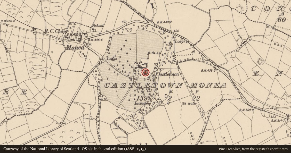 Ordnance Survey six-inch map, 2nd edition (1888–1915) covering the location of Castletown House, Castletown Monea, Fermanagh and Omagh, with a pin at the register's coordinates