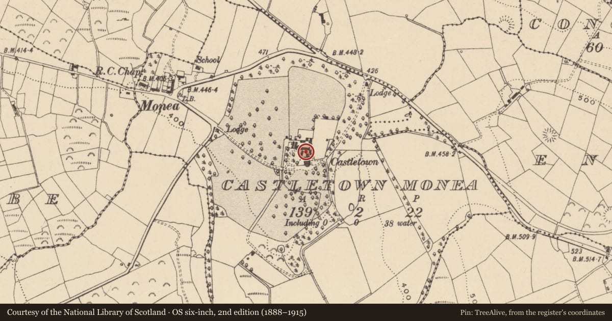 Ordnance Survey six-inch map, 2nd edition (1888–1915) covering the location of Domestic Yard, Castletown Monea, Fermanagh and Omagh, with a pin at the register's coordinates