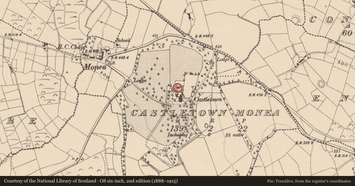 Ordnance Survey six-inch map, 2nd edition (1888–1915) covering the location of Farmyard, Castletown Monea, Fermanagh and Omagh, with a pin at the register's coordinates