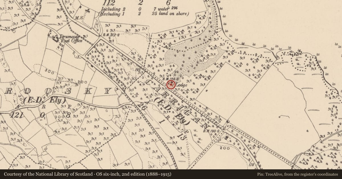 Ordnance Survey six-inch map, 2nd edition (1888–1915) covering the location of Gates And Screen, Fermanagh and Omagh, with a pin at the register's coordinates