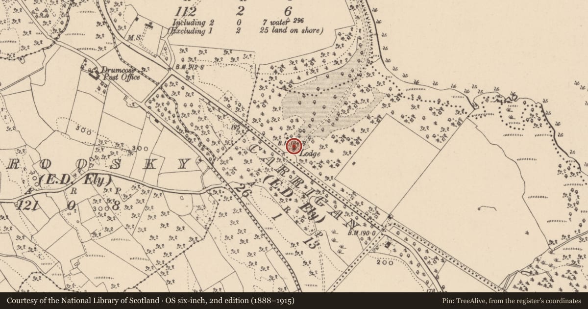 Ordnance Survey six-inch map, 2nd edition (1888–1915) covering the location of Gate Lodge, Fermanagh and Omagh, with a pin at the register's coordinates