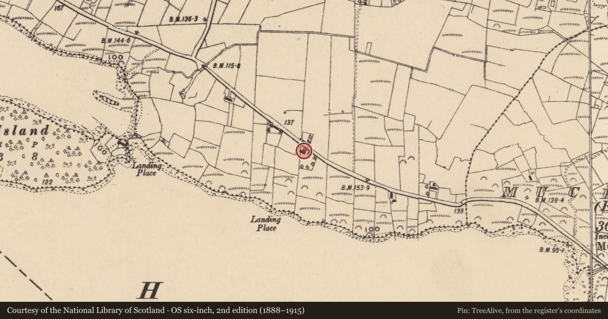 Ordnance Survey six-inch map, 2nd edition (1888–1915) covering the location of 84 Melvin Road, Drumnasreane, Fermanagh and Omagh, with a pin at the register's coordinates