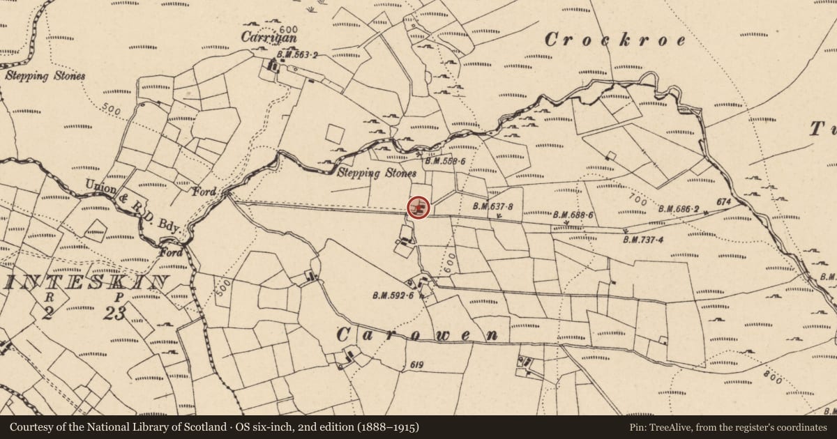 Ordnance Survey six-inch map, 2nd edition (1888–1915) covering the location of 64 Cornacully Road, Tievebunnan, Fermanagh and Omagh, with a pin at the register's coordinates