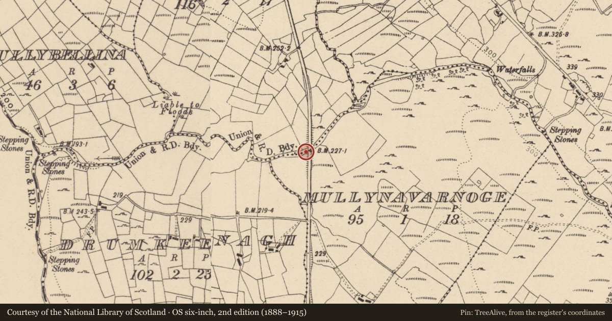 Ordnance Survey six-inch map, 2nd edition (1888–1915) covering the location of BRIDGE, Fermanagh and Omagh, with a pin at the register's coordinates