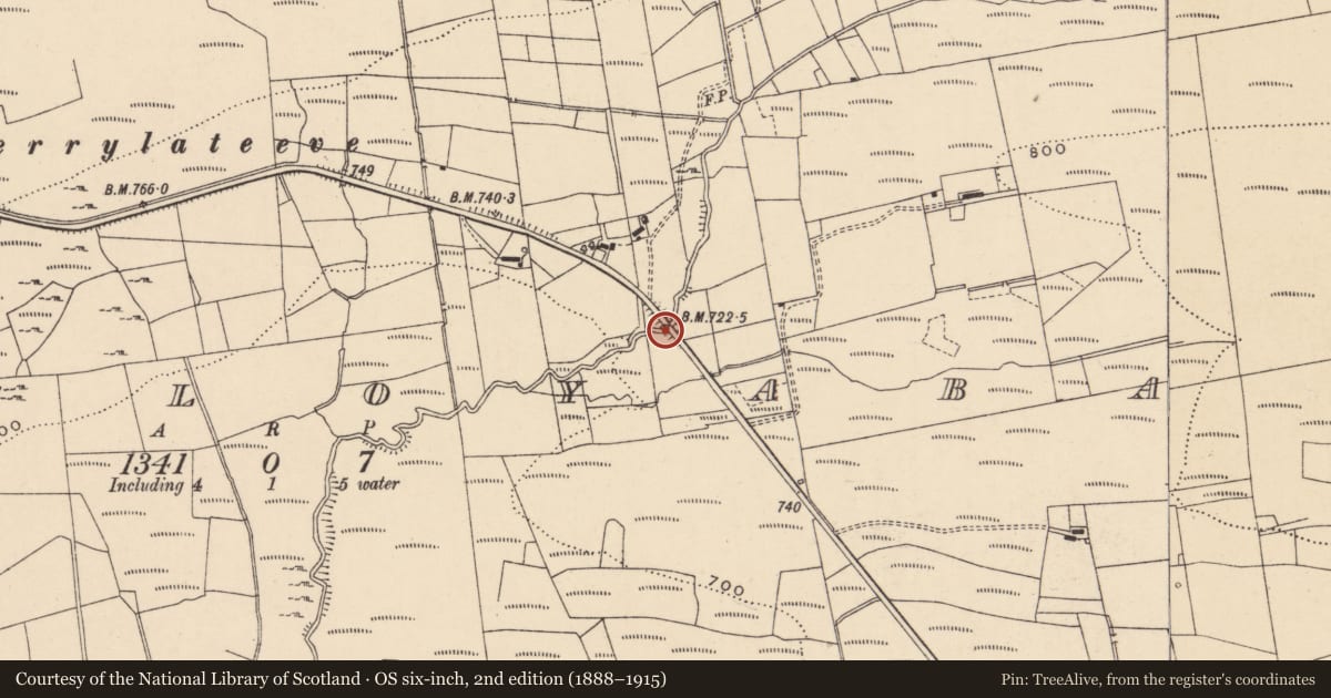 Ordnance Survey six-inch map, 2nd edition (1888–1915) covering the location of BRIDGE, Fermanagh and Omagh, with a pin at the register's coordinates