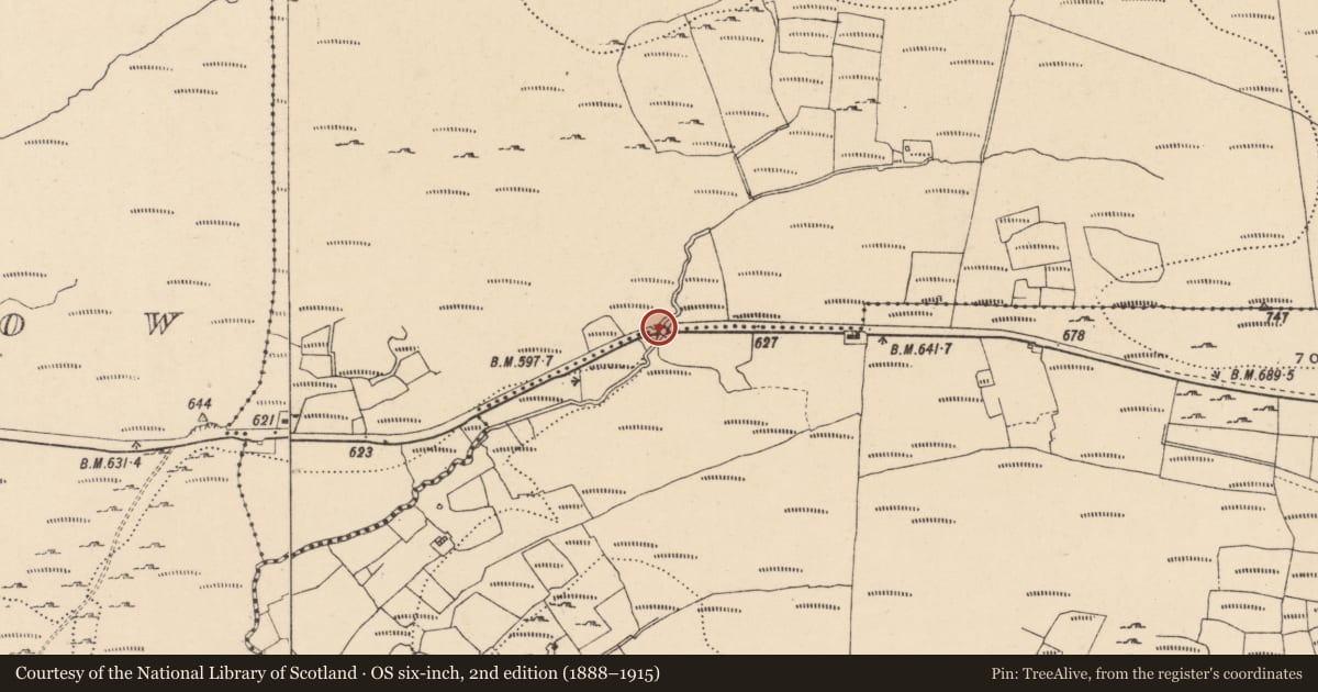 Ordnance Survey six-inch map, 2nd edition (1888–1915) covering the location of BRIDGE, Fermanagh and Omagh, with a pin at the register's coordinates