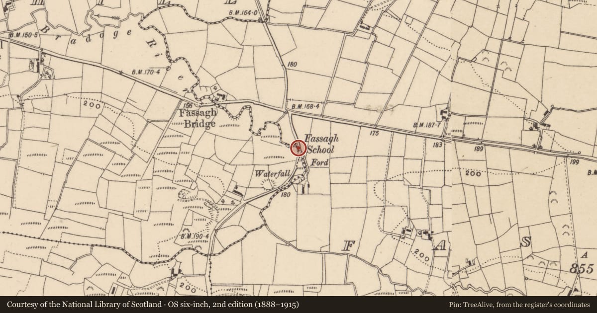 Ordnance Survey six-inch map, 2nd edition (1888–1915) covering the location of BRIDGE, Fermanagh and Omagh, with a pin at the register's coordinates