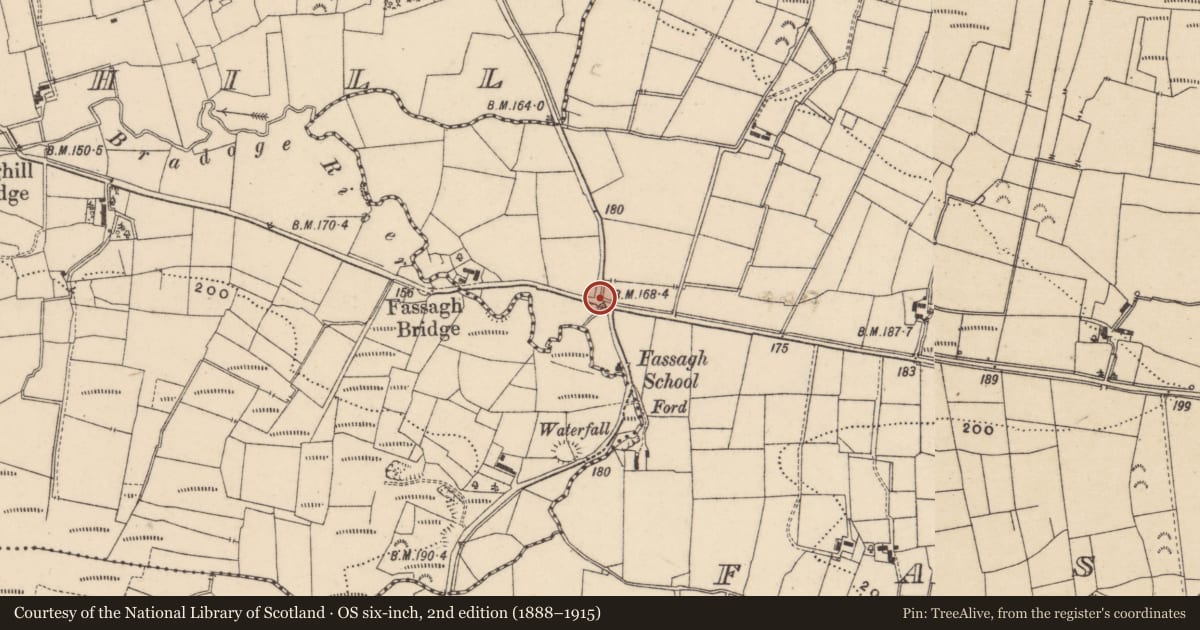 Ordnance Survey six-inch map, 2nd edition (1888–1915) covering the location of BRIDGE, Fermanagh and Omagh, with a pin at the register's coordinates