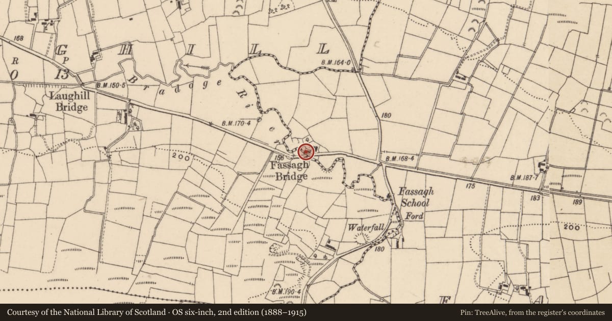 Ordnance Survey six-inch map, 2nd edition (1888–1915) covering the location of Fassagh Bridge, Fermanagh and Omagh, with a pin at the register's coordinates