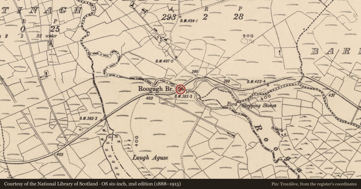 Ordnance Survey six-inch map, 2nd edition (1888–1915) covering the location of Roogagh Bridge, Fermanagh and Omagh, with a pin at the register's coordinates
