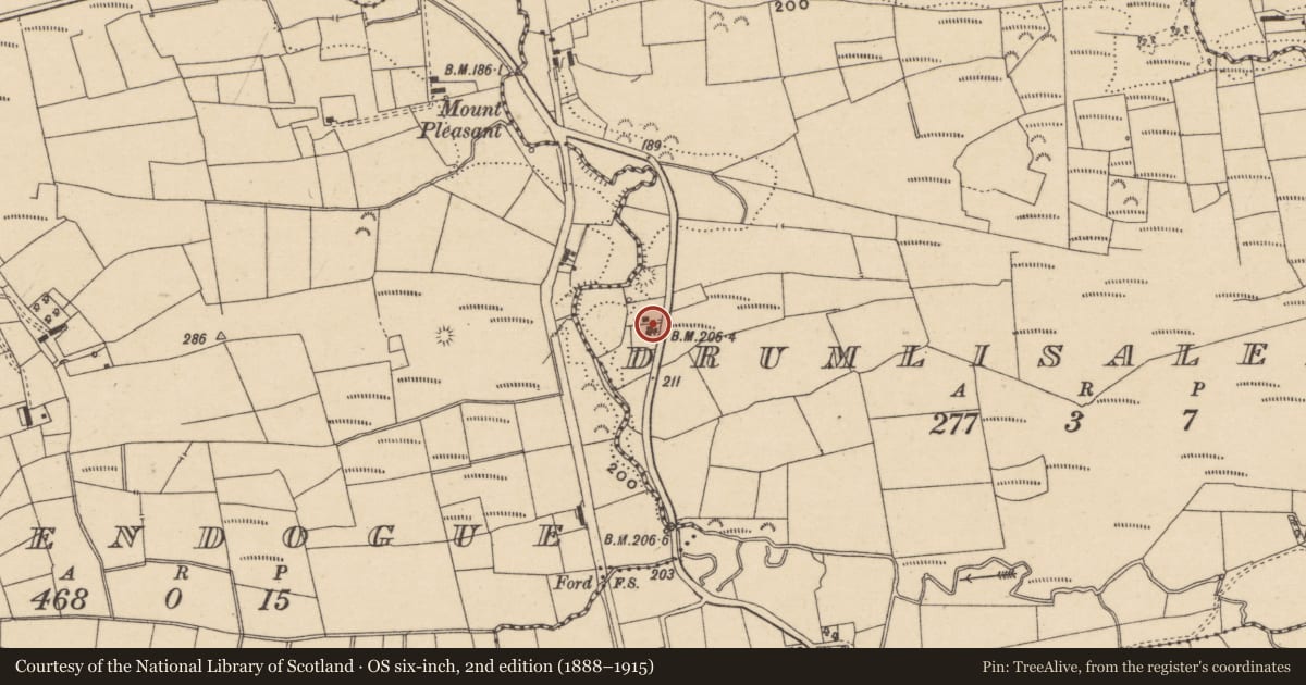 Ordnance Survey six-inch map, 2nd edition (1888–1915) covering the location of 146 Brollagh Road, Fermanagh and Omagh, with a pin at the register's coordinates