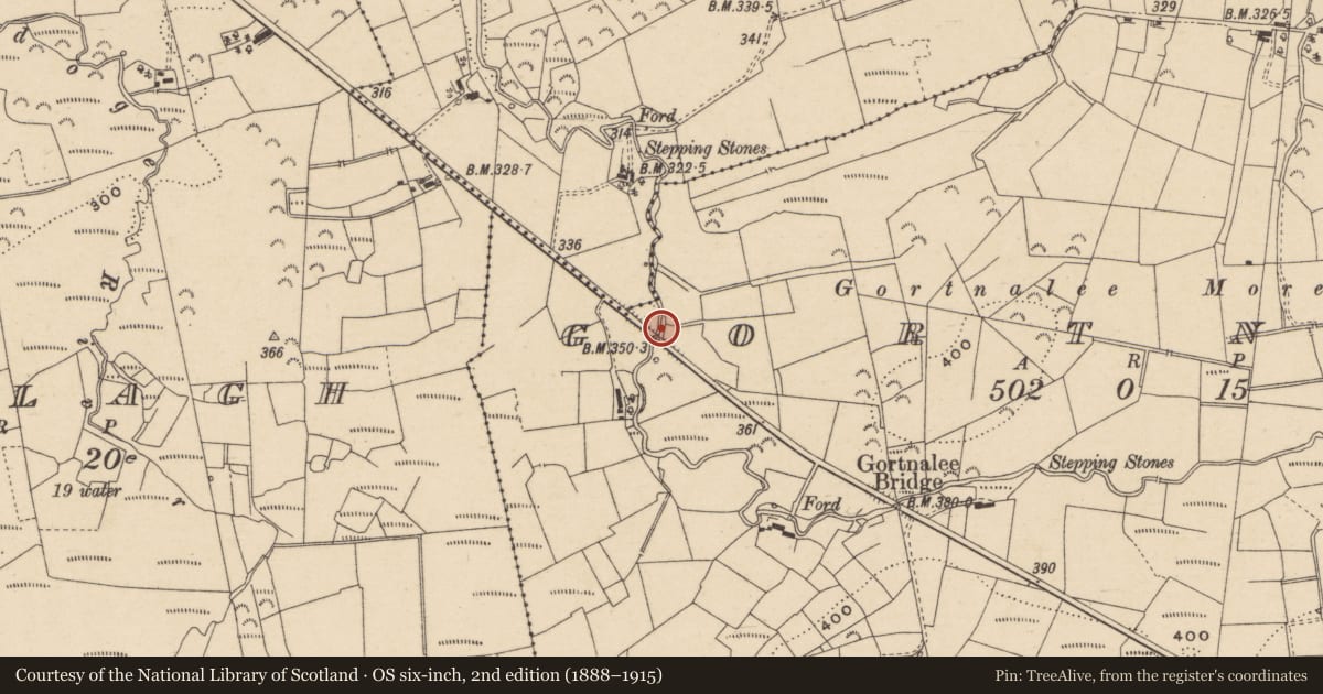 Ordnance Survey six-inch map, 2nd edition (1888–1915) covering the location of BRIDGE B At Gortnalee, Fermanagh and Omagh, with a pin at the register's coordinates