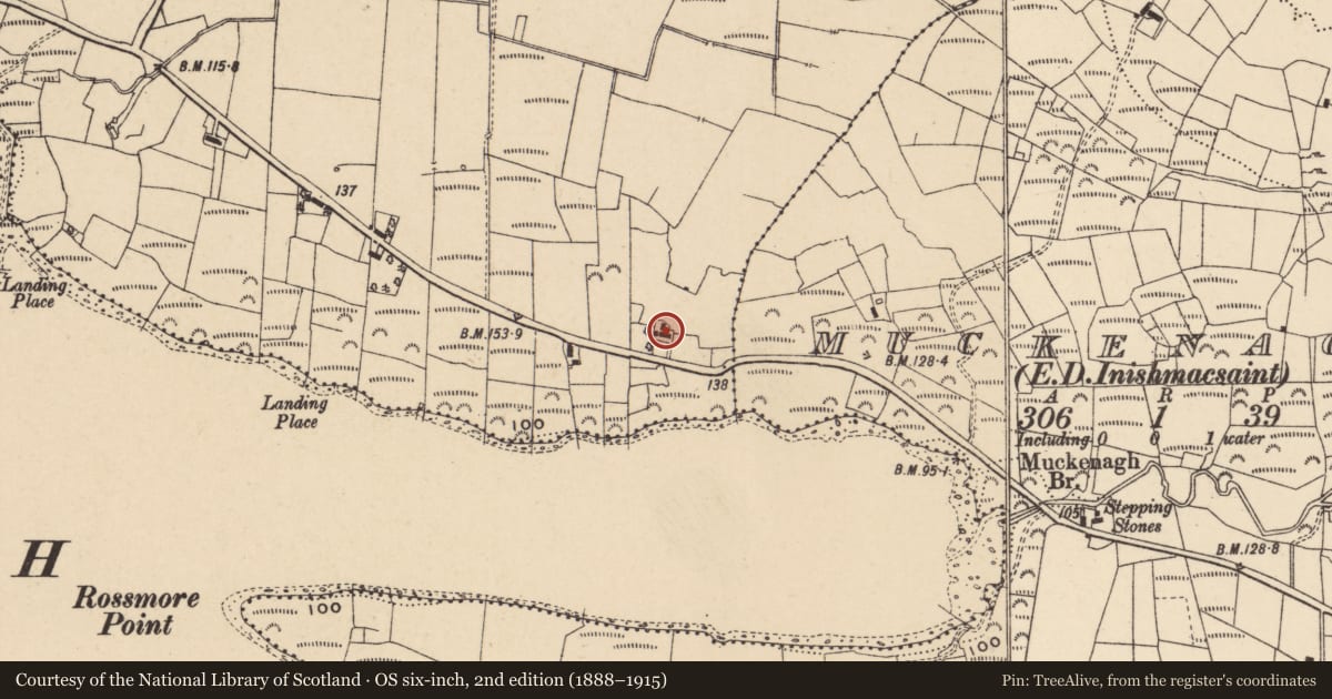 Ordnance Survey six-inch map, 2nd edition (1888–1915) covering the location of Vernacular house, Drumnascreane, Fermanagh and Omagh, with a pin at the register's coordinates