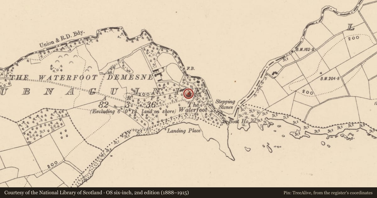 Ordnance Survey six-inch map, 2nd edition (1888–1915) covering the location of The Waterfoot, Fermanagh and Omagh, with a pin at the register's coordinates