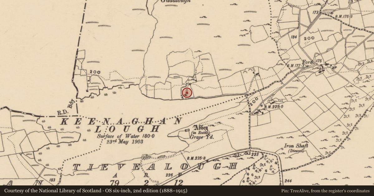Ordnance Survey six-inch map, 2nd edition (1888–1915) covering the location of 8 Derrynacrannog Road, Fermanagh and Omagh, with a pin at the register's coordinates
