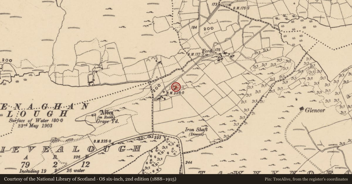 Ordnance Survey six-inch map, 2nd edition (1888–1915) covering the location of 7 Derrynacrannog Road, Ballaghgee, Fermanagh and Omagh, with a pin at the register's coordinates