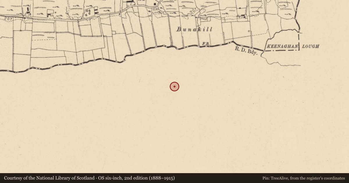 Ordnance Survey six-inch map, 2nd edition (1888–1915) covering the location of Loughlan’s, Keenaghan, Fermanagh and Omagh, with a pin at the register's coordinates