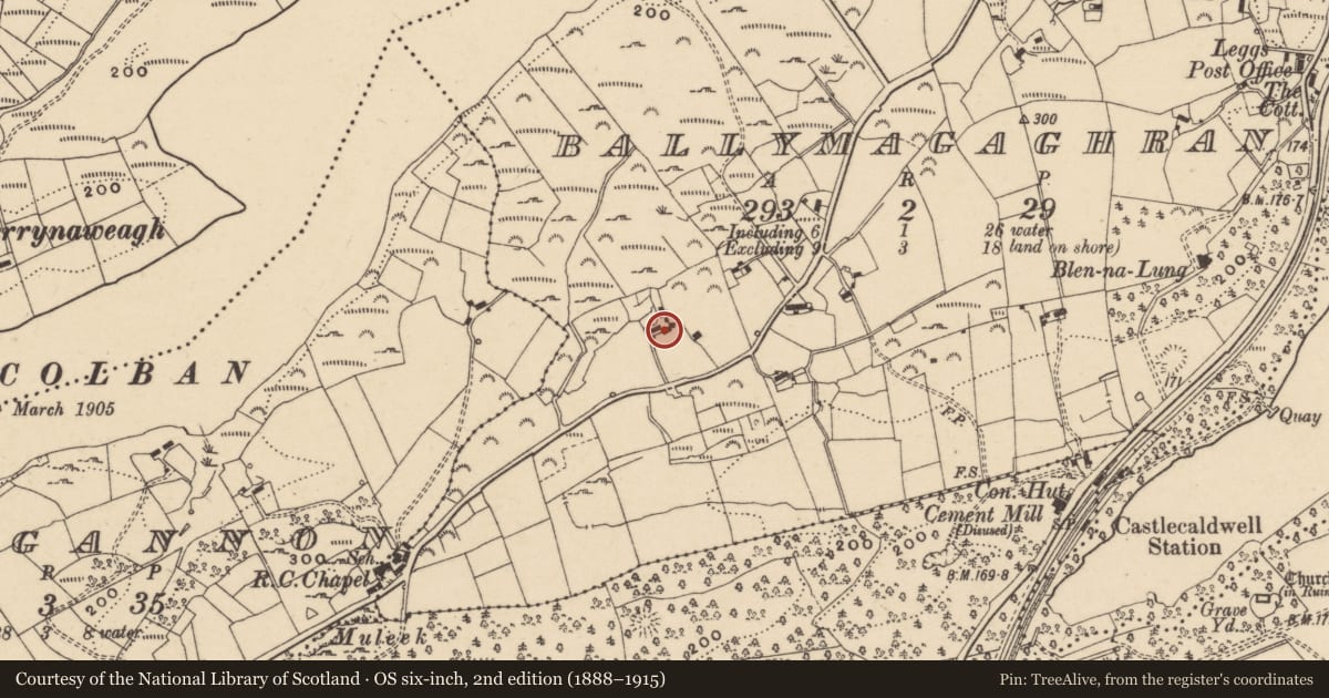 Ordnance Survey six-inch map, 2nd edition (1888–1915) covering the location of Thatched Cottage, Fermanagh and Omagh, with a pin at the register's coordinates