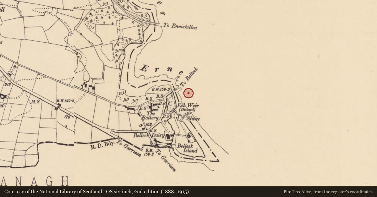 Ordnance Survey six-inch map, 2nd edition (1888–1915) covering the location of Belleek Porcelain Factory, Fermanagh and Omagh, with a pin at the register's coordinates