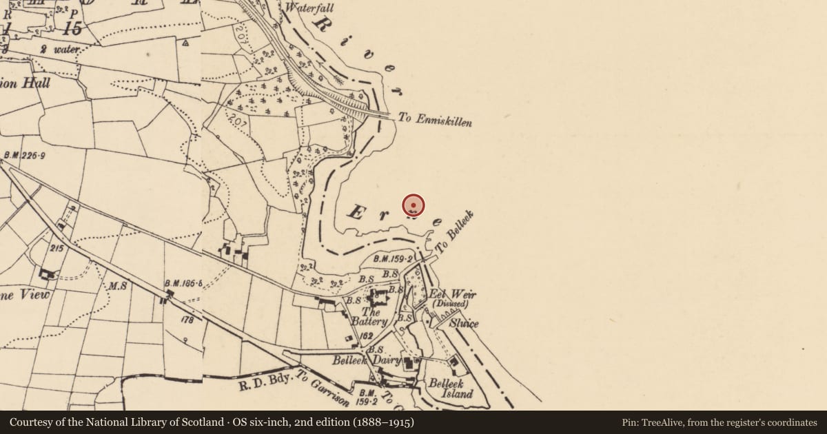 Ordnance Survey six-inch map, 2nd edition (1888–1915) covering the location of Thatched House, Fermanagh and Omagh, with a pin at the register's coordinates