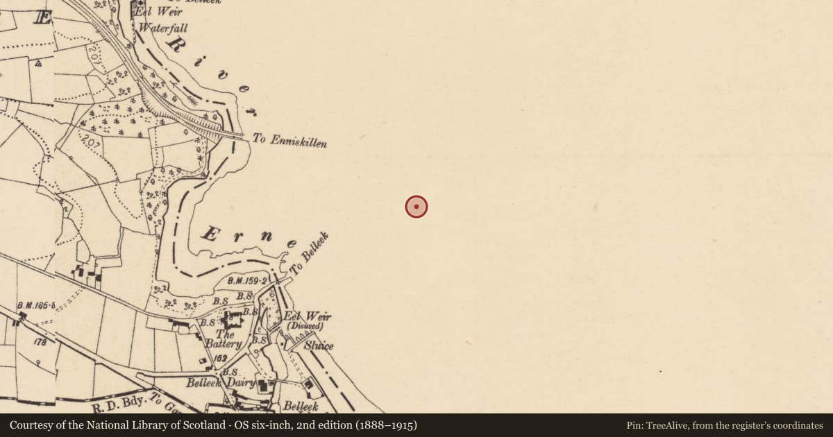 Ordnance Survey six-inch map, 2nd edition (1888–1915) covering the location of Belleek Church (C OF I), Fermanagh and Omagh, with a pin at the register's coordinates