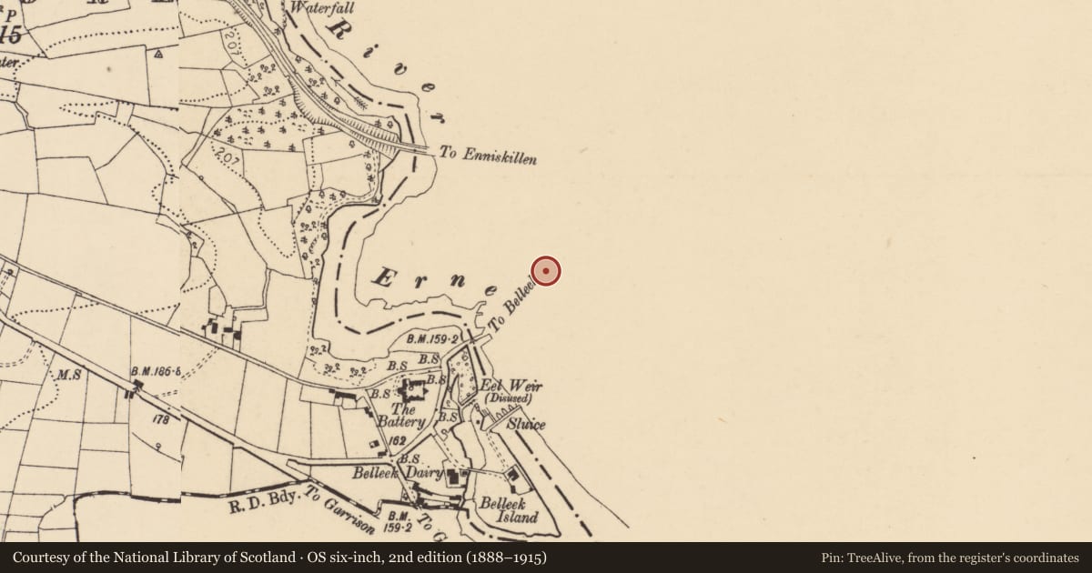 Ordnance Survey six-inch map, 2nd edition (1888–1915) covering the location of The Thatch, Rathmore, Fermanagh and Omagh, with a pin at the register's coordinates