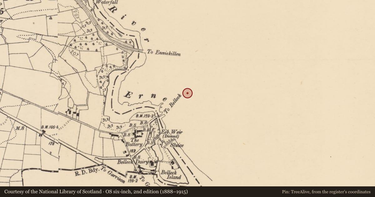 Ordnance Survey six-inch map, 2nd edition (1888–1915) covering the location of Public Water Pump and Trough, Finner, Fermanagh and Omagh, with a pin at the register's coordinates