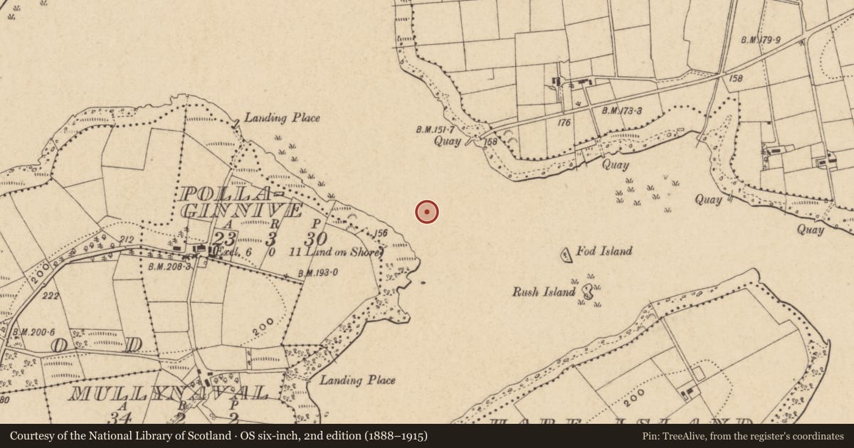 Ordnance Survey six-inch map, 2nd edition (1888–1915) covering the location of Portinode Bridge, Fermanagh and Omagh, with a pin at the register's coordinates