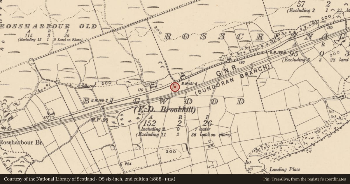 Ordnance Survey six-inch map, 2nd edition (1888–1915) covering the location of Barn, Big Wood, Fermanagh and Omagh, with a pin at the register's coordinates