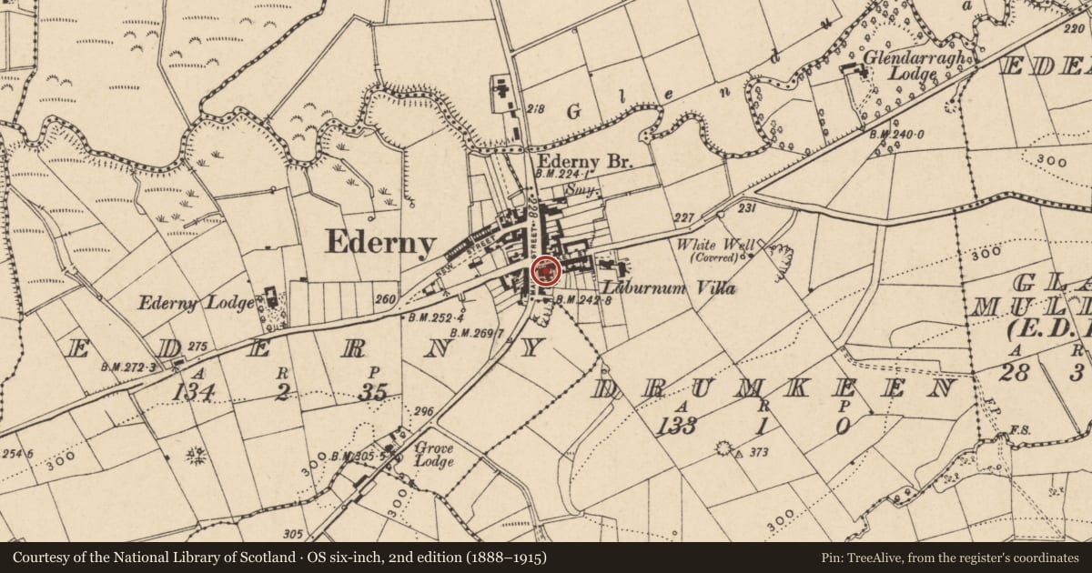 Ordnance Survey six-inch map, 2nd edition (1888–1915) covering the location of The Old Market House, Fermanagh and Omagh, with a pin at the register's coordinates