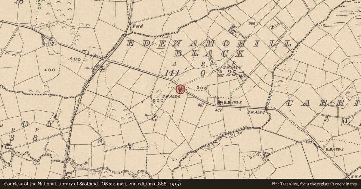 Ordnance Survey six-inch map, 2nd edition (1888–1915) covering the location of 73 Cloy Road, Edenamohill, Fermanagh and Omagh, with a pin at the register's coordinates