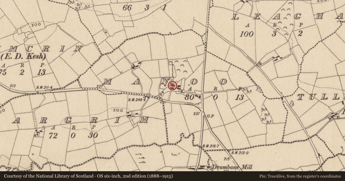 Ordnance Survey six-inch map, 2nd edition (1888–1915) covering the location of Manoo, Fermanagh and Omagh, with a pin at the register's coordinates