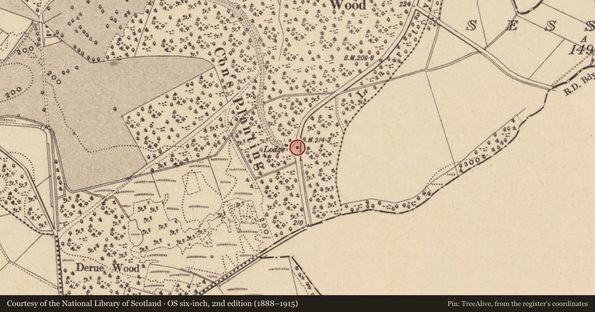 Ordnance Survey six-inch map, 2nd edition (1888–1915) covering the location of Gate Screen At Necarne Castle, Fermanagh and Omagh, with a pin at the register's coordinates