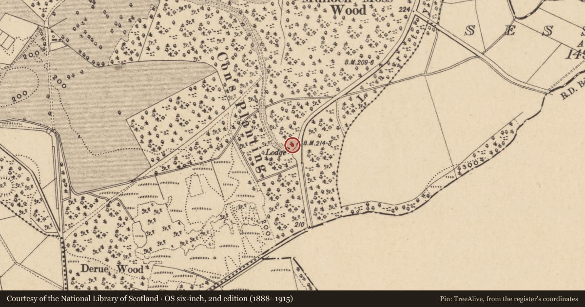 Ordnance Survey six-inch map, 2nd edition (1888–1915) covering the location of Gate Lodge At Necarne Castle, Fermanagh and Omagh, with a pin at the register's coordinates