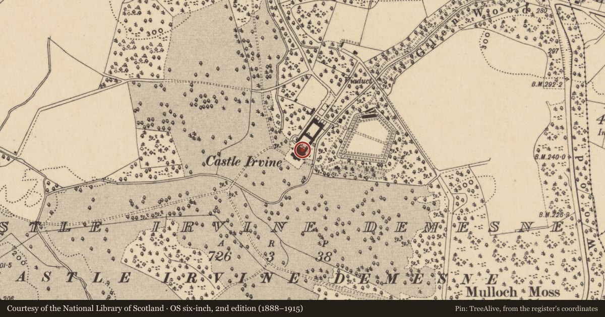 Ordnance Survey six-inch map, 2nd edition (1888–1915) covering the location of Necarne Castle, Fermanagh and Omagh, with a pin at the register's coordinates