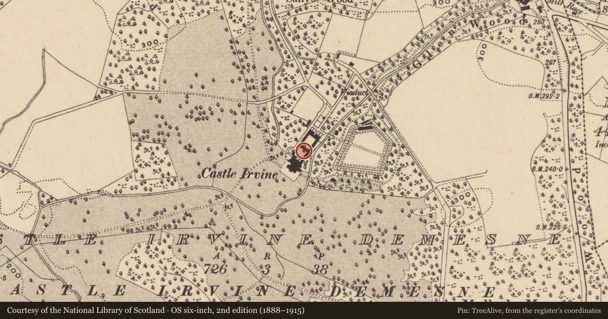 Ordnance Survey six-inch map, 2nd edition (1888–1915) covering the location of Outer Courtyard, Fermanagh and Omagh, with a pin at the register's coordinates