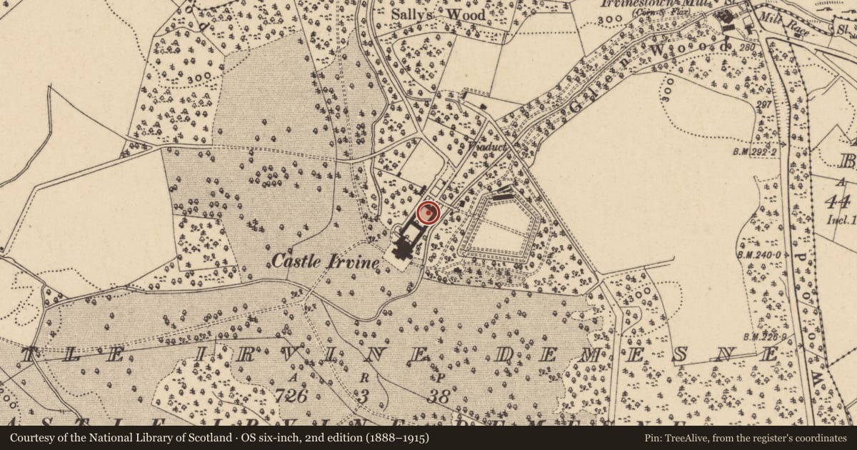 Ordnance Survey six-inch map, 2nd edition (1888–1915) covering the location of Inner Courtyard, Fermanagh and Omagh, with a pin at the register's coordinates