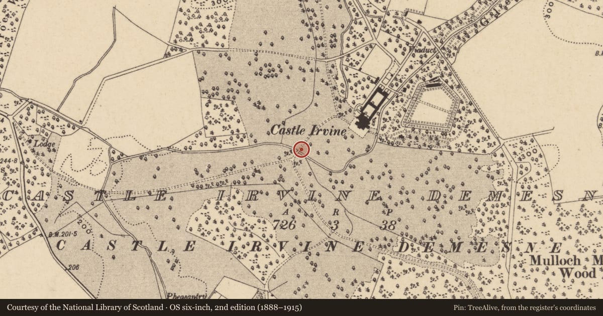 Ordnance Survey six-inch map, 2nd edition (1888–1915) covering the location of Bridge At Necarne Castle, Fermanagh and Omagh, with a pin at the register's coordinates