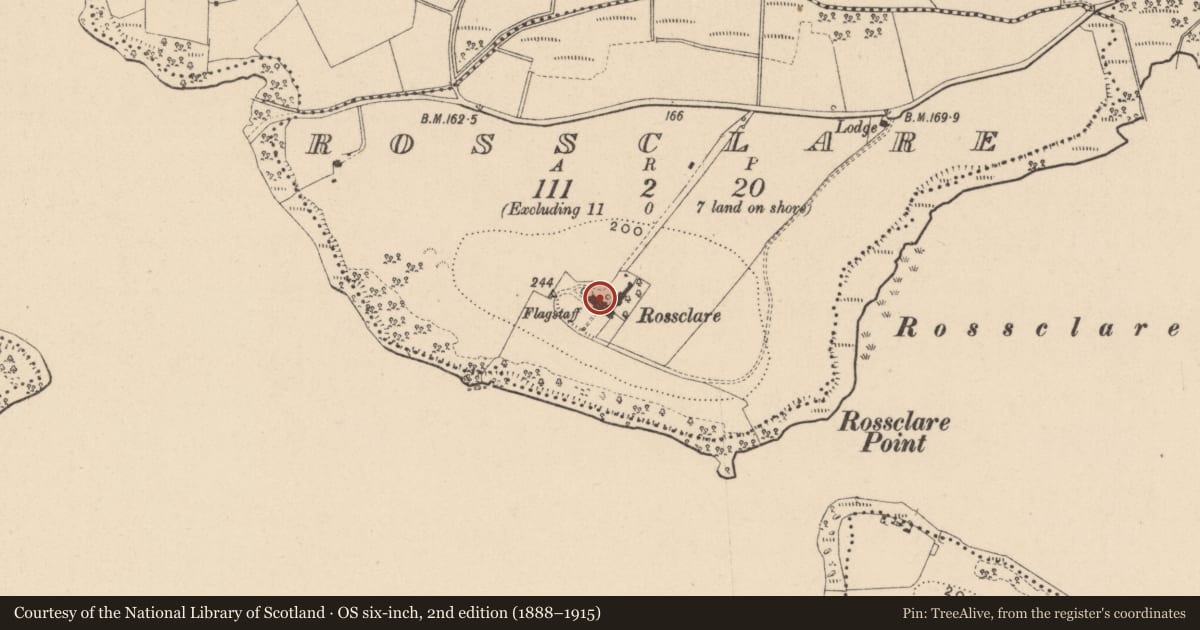 Ordnance Survey six-inch map, 2nd edition (1888–1915) covering the location of Rossclare House, Fermanagh and Omagh, with a pin at the register's coordinates